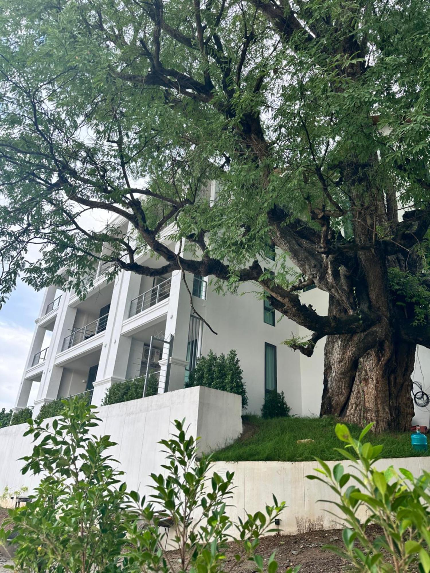 Sokview Residence Luang Prabang Exteriér fotografie